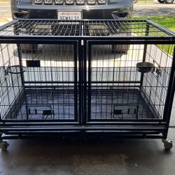Dog Kennel 