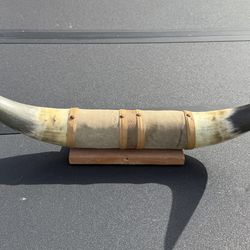 Mounted Steer Bull Horn