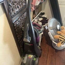 Bissell ProHeat Pet Turbo 