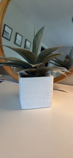Fake plant