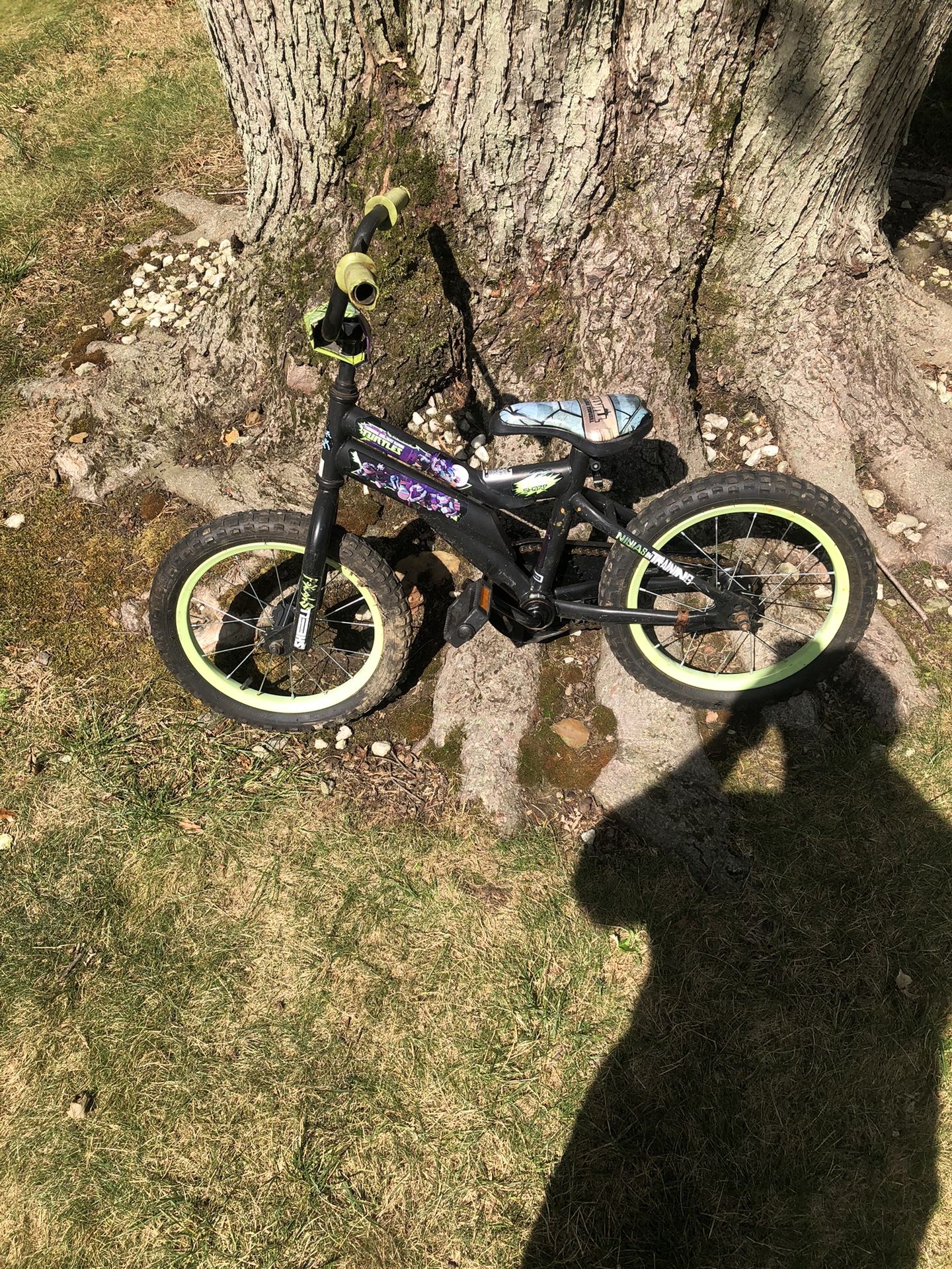 16” Ninja Turtles Kids bike