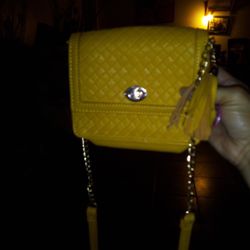 Little Yellow Purse I Put $4