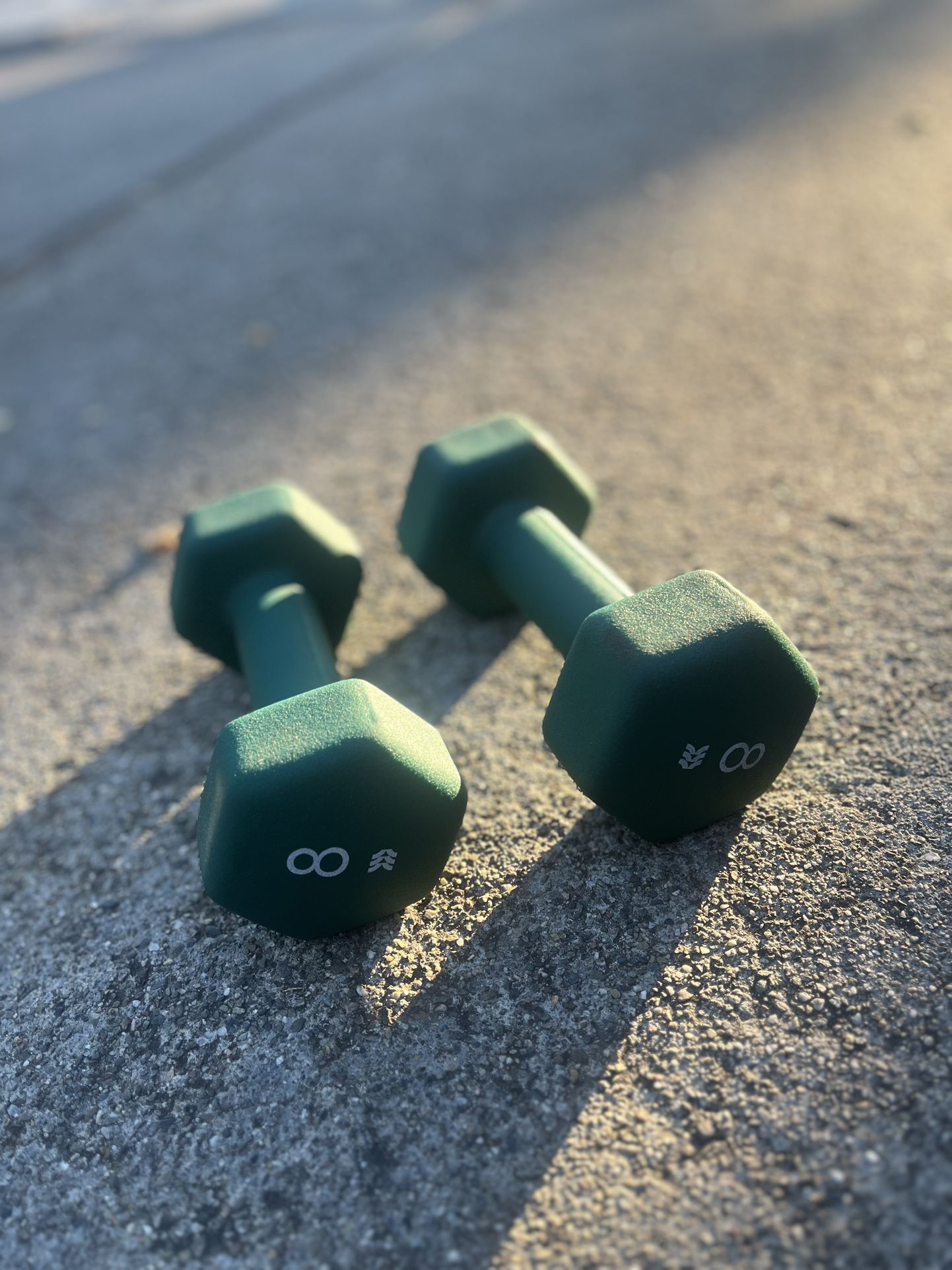 8 Lb Dumbbells (set of 2)