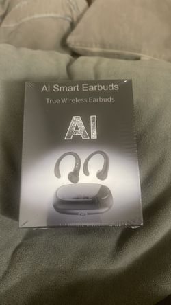 Ai earbuds  translate language too