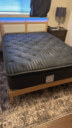 Queen Sealy Princeton Mattress