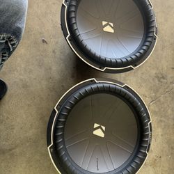 Kicker Q Class 15s 