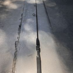 Fishing - Berkley Bionix Pulse Rod
