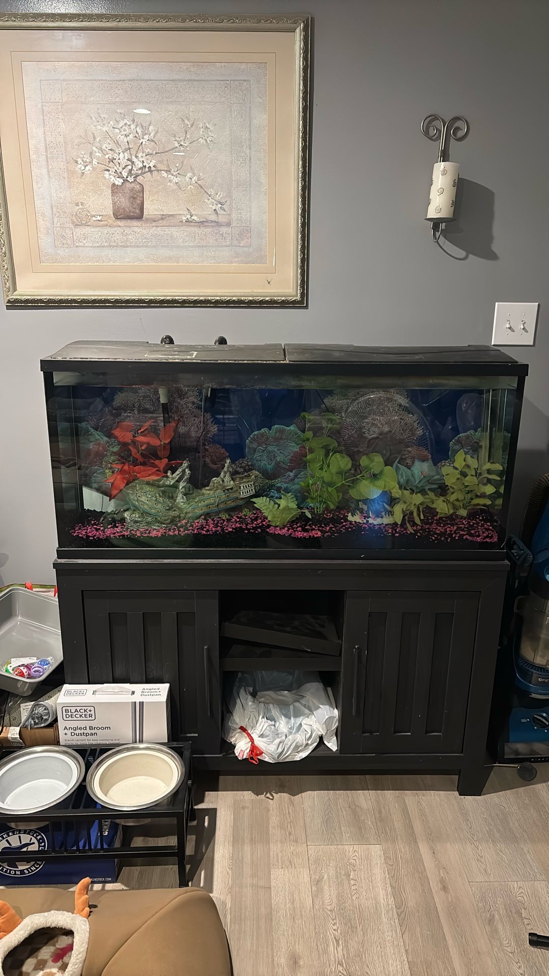55 Fish Tank Cheap