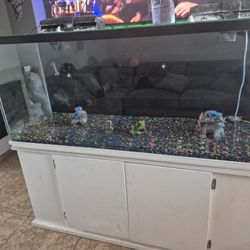 Fish Tank