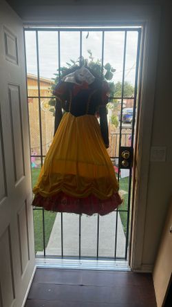 Snowwhite Costume 