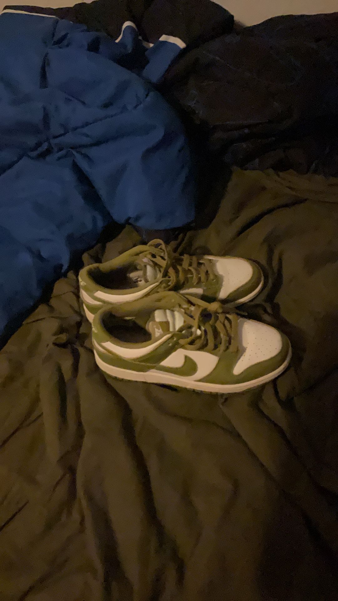 Dunks Size 6.5