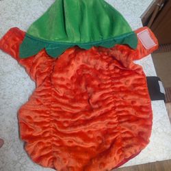 Dog Costume