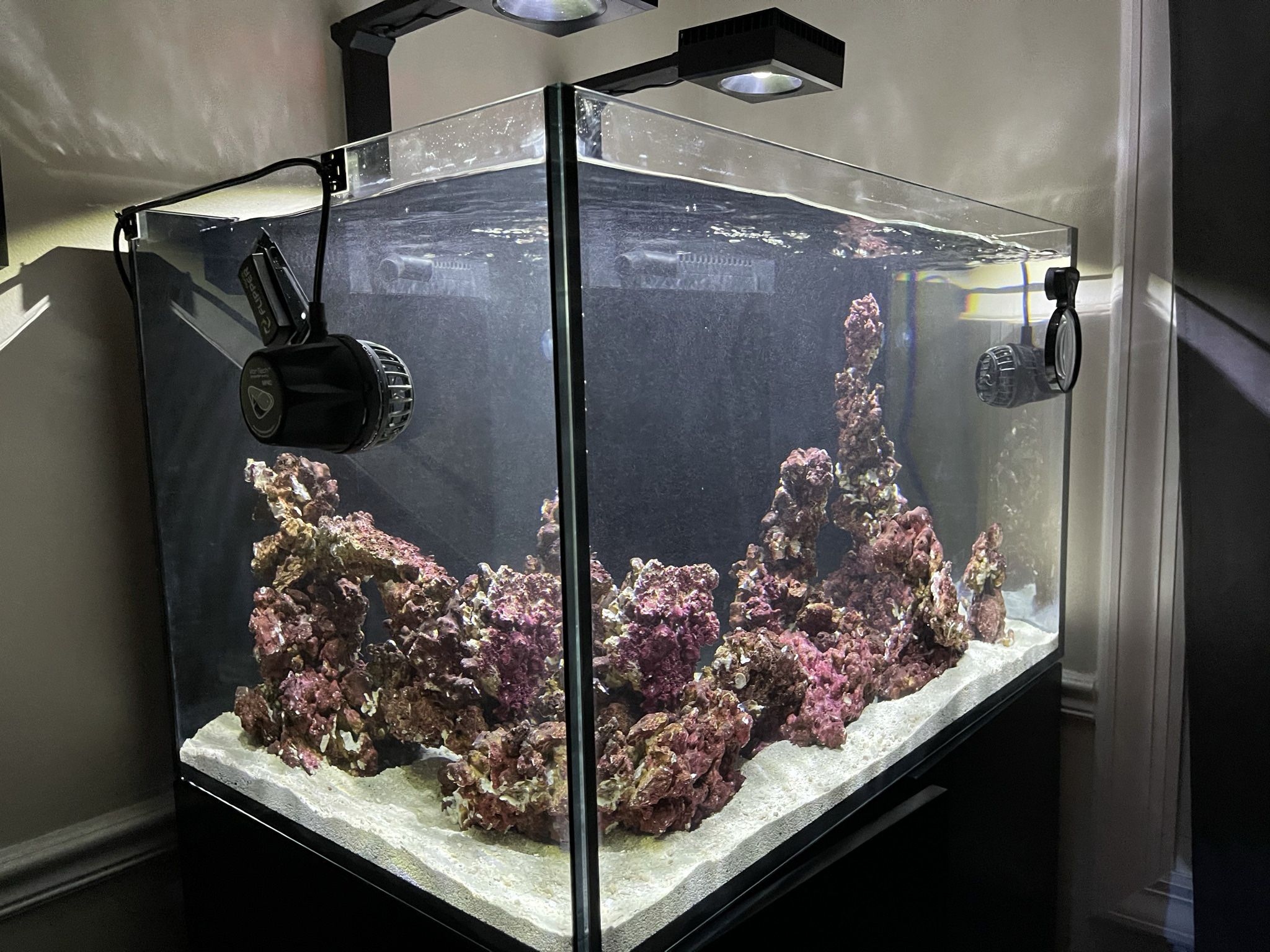 All In One Red Sea Reefer 300XL Deluxe Salt Water Fish Tank for Sale in