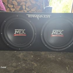 Two Mtx 12 Inch Subwoofers