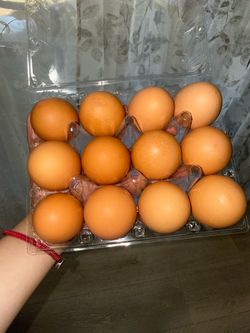 Huevo órganico