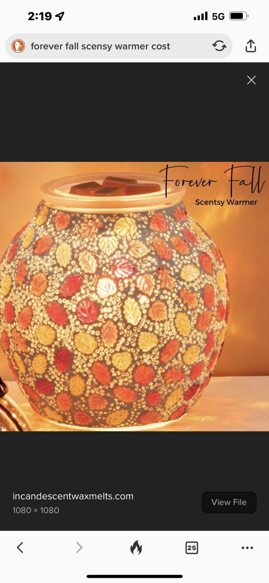 Scensy Warmer Fall Forever