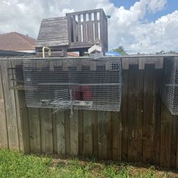 Bird Cage With 4 Compartments 