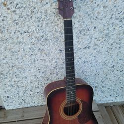Carlos Acoustic Guitar #437