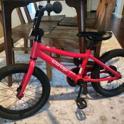 REI coop Kids 16" Bike