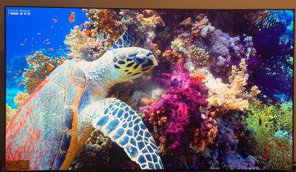 LG - 77"Class C4 Series OLED evo 4K UHD Smart webOS TV (2024) in original box
