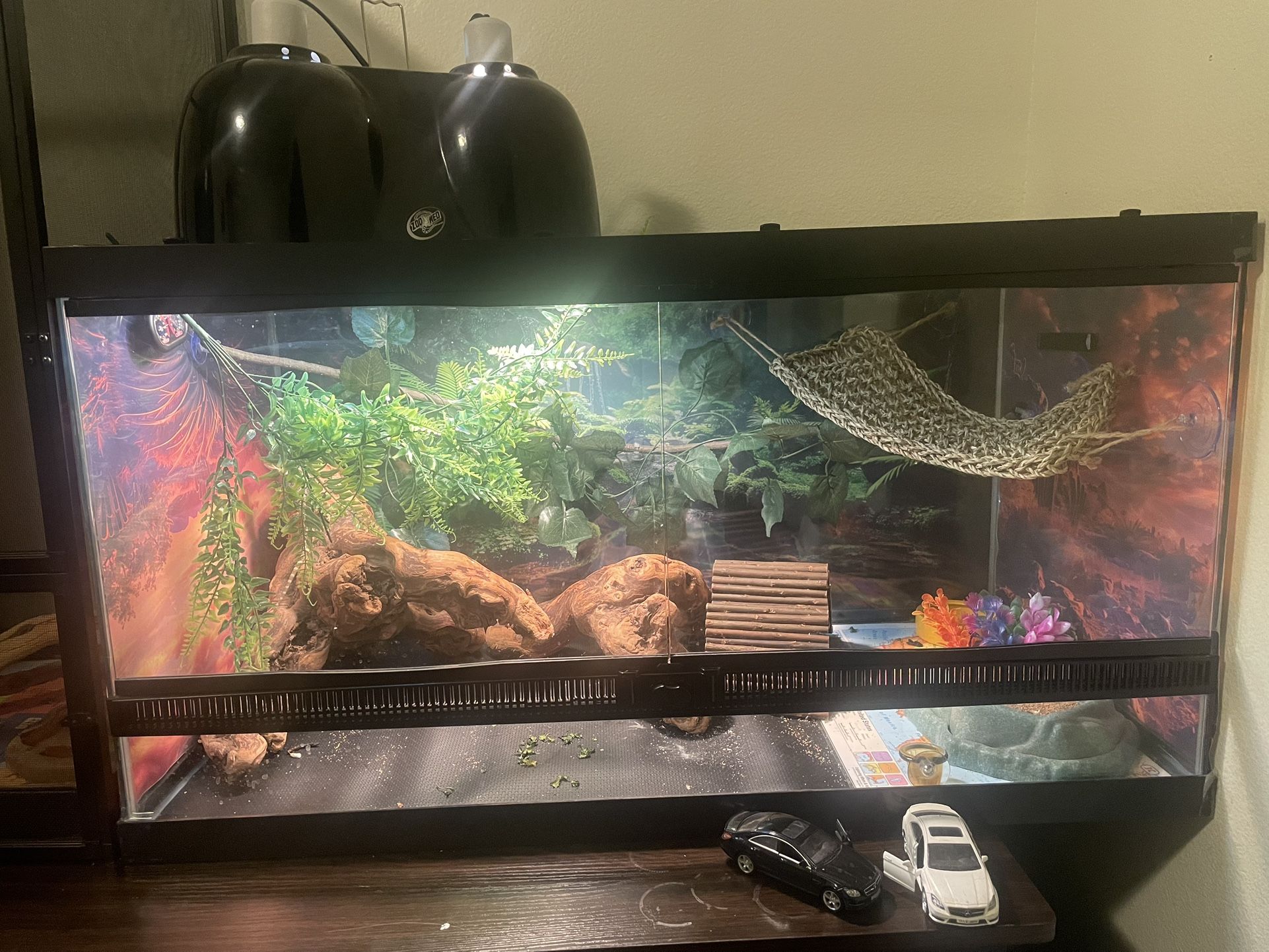 Terrarium Zilla