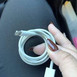 Apple USB iPhone Charger