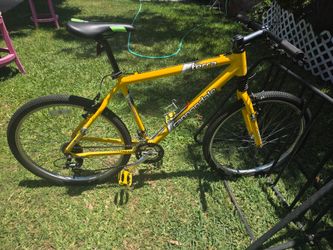 Cannodale Bicycle