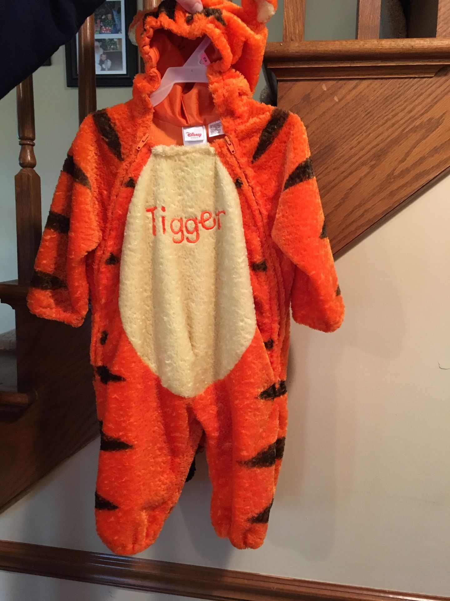 Tigger costume 18 month