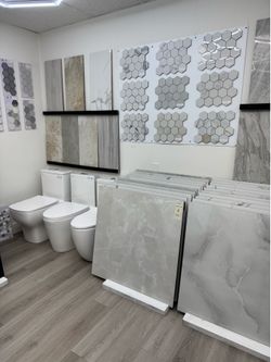 Toilet and Tile