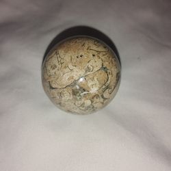 Fossil stone sphere
