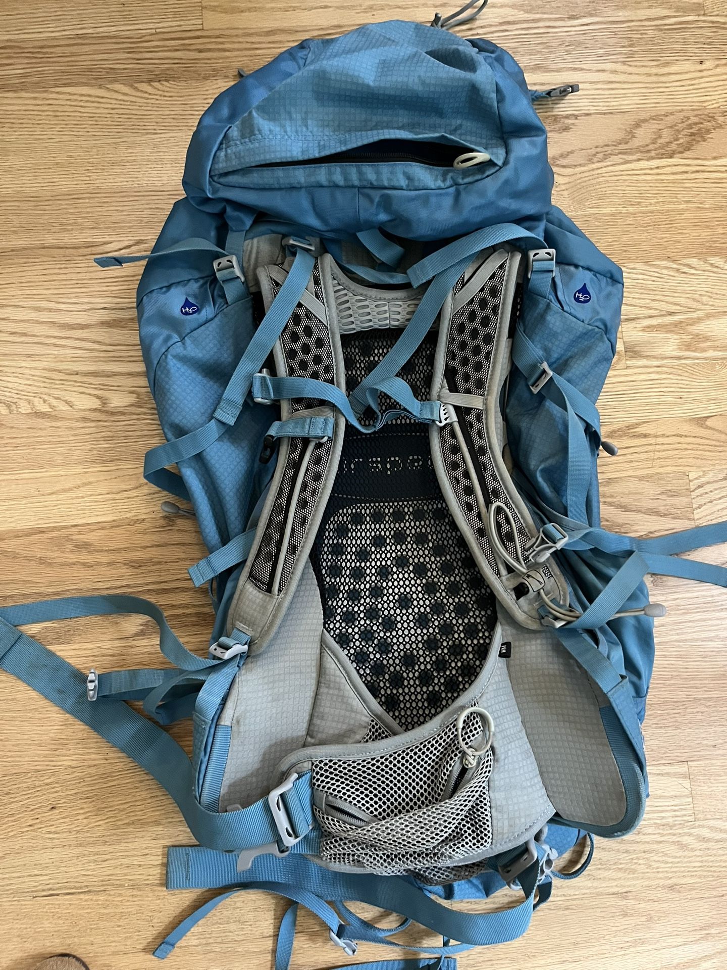 Osprey travel backpack 
