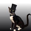 Tuxedo Cat Gems & More