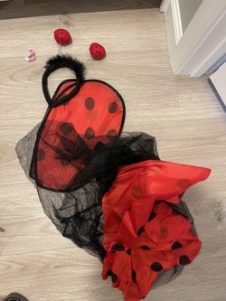Lady Bug Costume