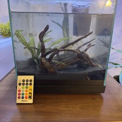 6 gallon light Up aquarium
