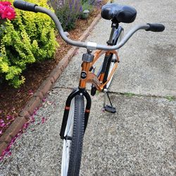 La Jolla Cruiser