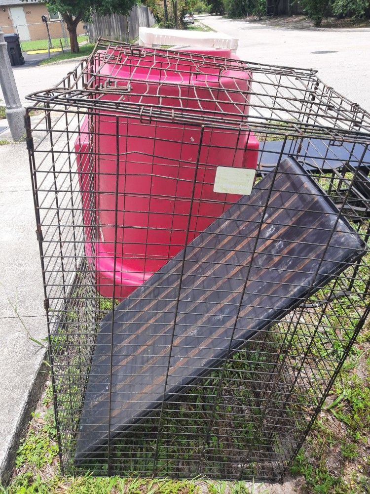 Dog Cage