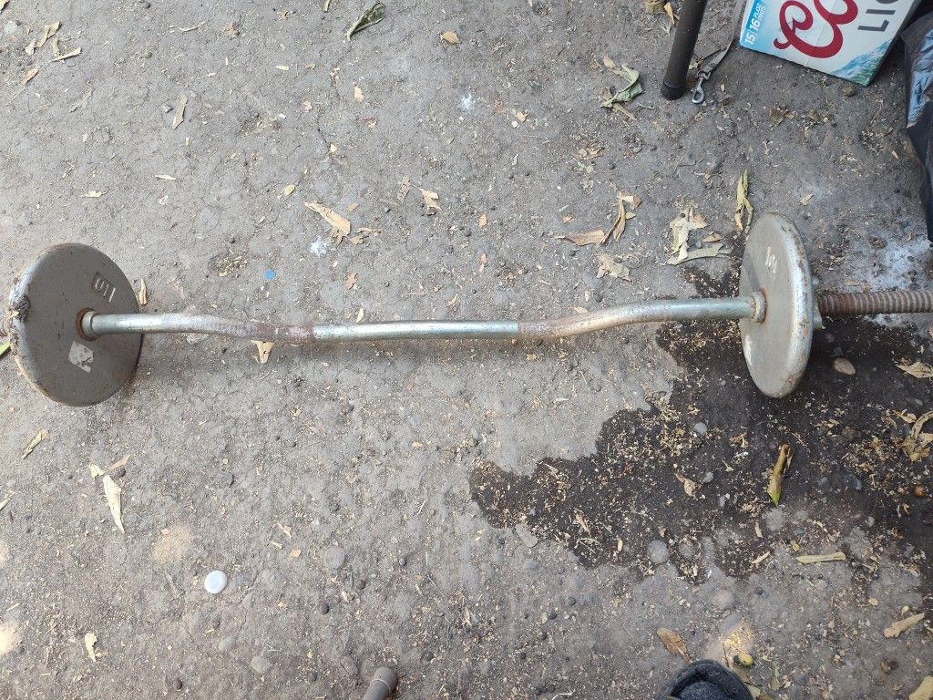Standard Curl Bar With 20lbs