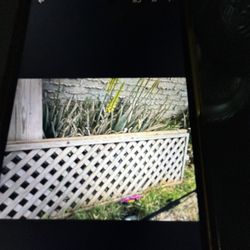 Wood Lattice