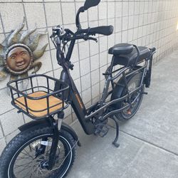 Rad Power Bikes Electric Bike Fat Tires  With Back Seat No Battery Or Charger 