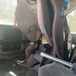 Car Seat 