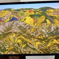 Apple Studio Display Vesa