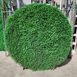 Round Green Backdrop 2 Piece