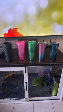 Starbucks Cups