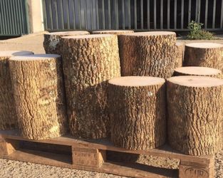 Wood Tree Needed