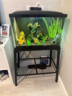 20 gallon fish tank