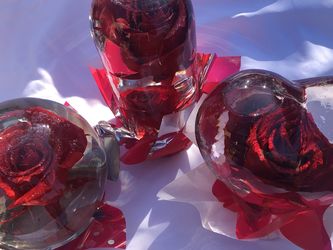 Valentines Day Eternal Real Rose 🌹