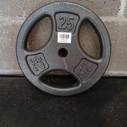 25lb 1inch Plate