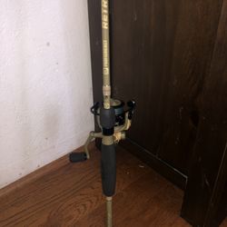 Ip Profishency 7ft Pole 