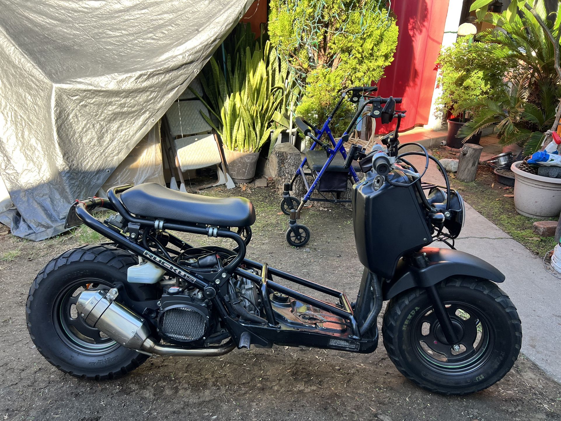 2008 Honda Ruckus NO TRADES