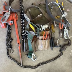 Palm Tree Trimming Equipment. 